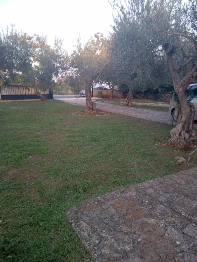 Apartman Krcina Krnica Zewnętrze zdjęcie